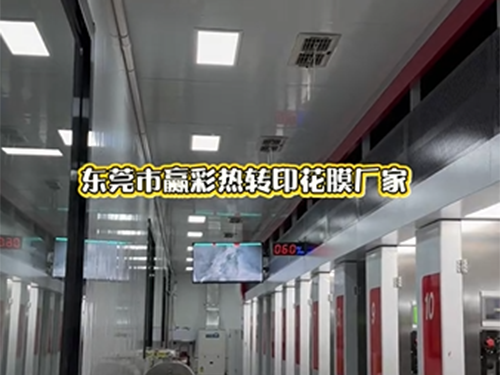 东莞市森之富热转即花膜厂家